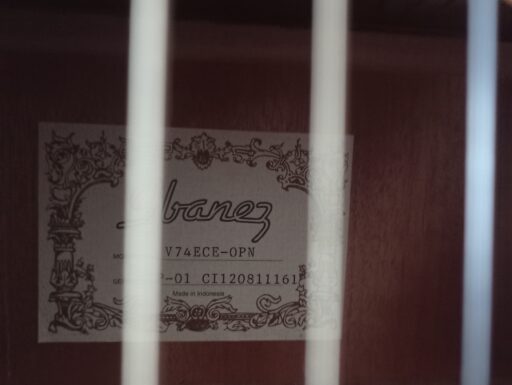 Chitarra acustica elettrificata Ibanez