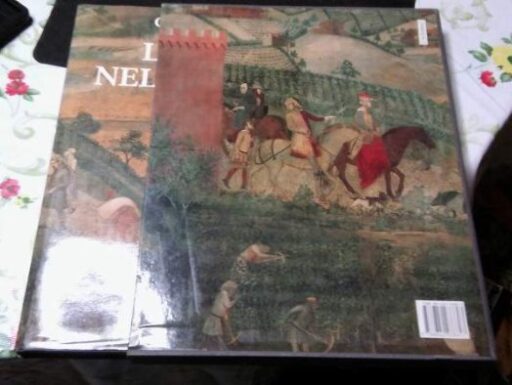 Libro l'Europa nel medioevo