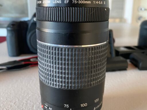 Canon EOS 6D reflex digitale