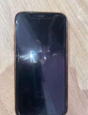 iPhone X