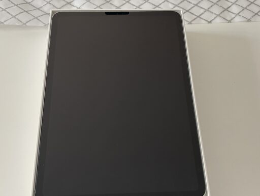 iPad Pro 11 (2ªGenerazione) Wi-Fi+Cellular