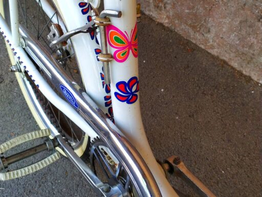 Graziella Carnielli Flor