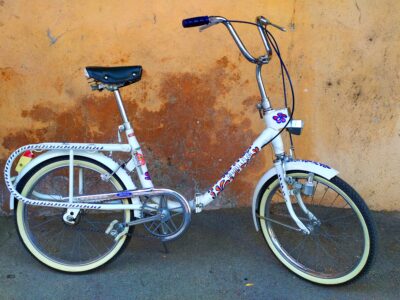 Graziella Carnielli Flor