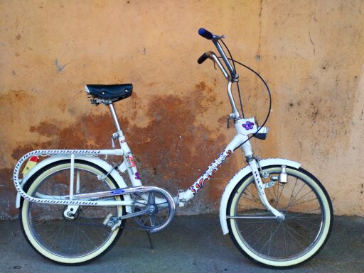 Graziella Carnielli Flor