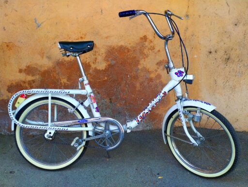 Graziella Carnielli Flor