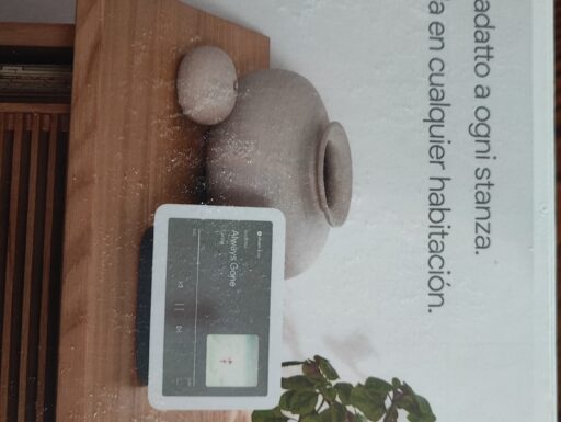 Google Nest Hub 2° Generazione