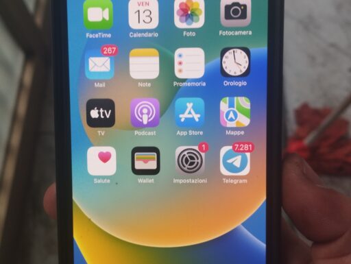 Iphone 13 Pro Max 256gb