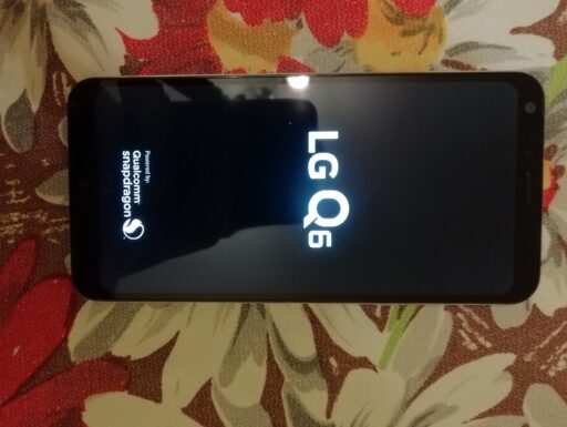 LG q6 usato