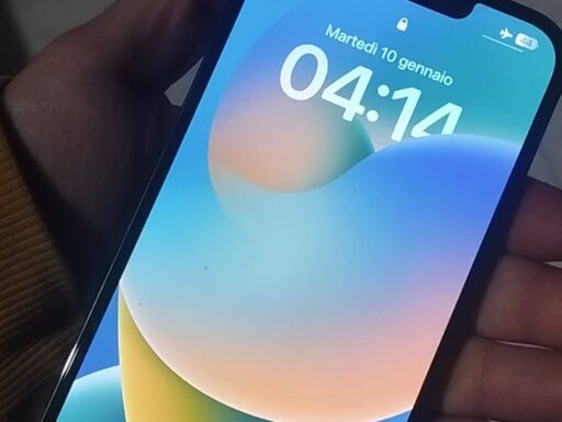 Iphone 13 Pro Max 256gb