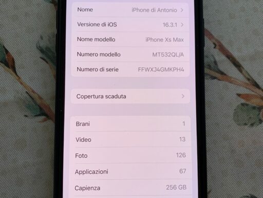 iPhone XS Max e AirPods Pro