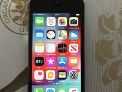 Apple iPhone 5s A1533 Grigio Siderale Space Gray 16gb