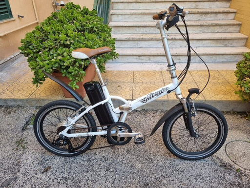 Bici Elettrica/e-bike/pieghevole Ammortizzata 20 36v13ah