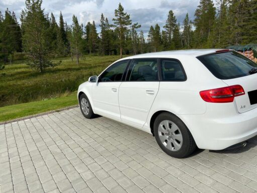A3 1.6 TDI 105 CV Sportback -2010