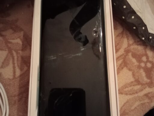 Huawei p30 pro e radio