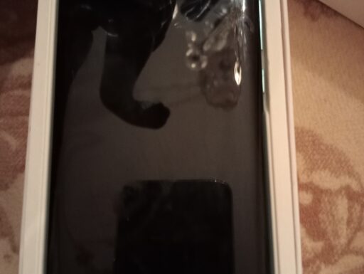 Huawei p30 pro e radio