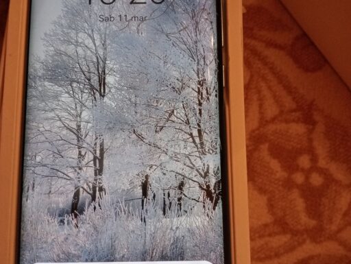 Huawei p30 pro e radio