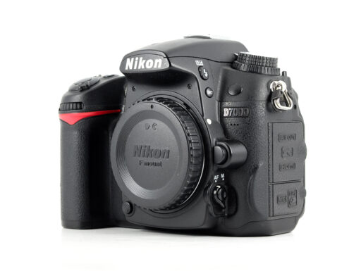 Nikon Reflex D7000