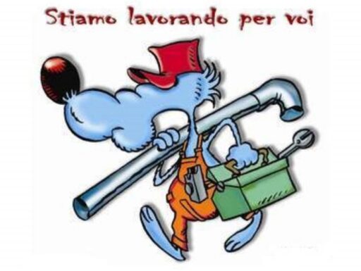 Multiservizi di riccardo