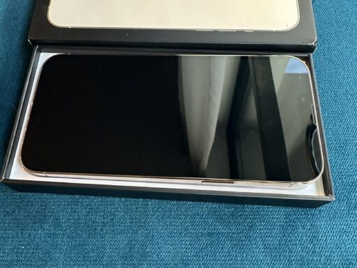 Iphone 13 pro max 256gb batteria 100%