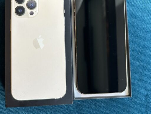 Iphone 13 pro max 256gb batteria 100%