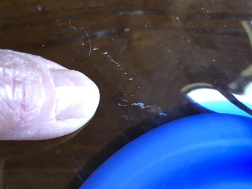 Piatto centrotavola in vetro di Murano firmato Zane