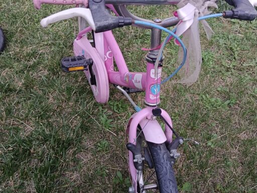 Bicicletta bambina 5 anni