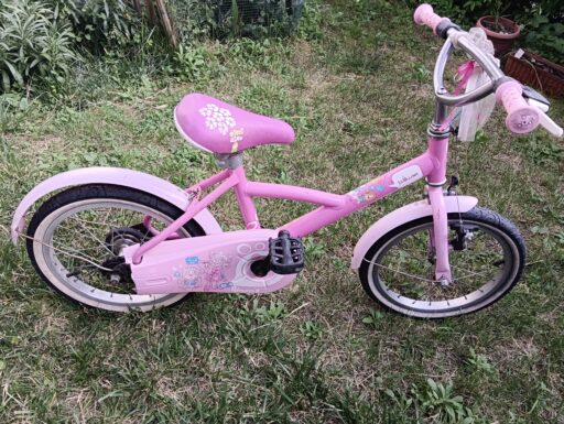 Bicicletta bambina 5 anni