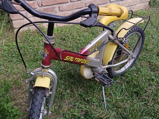 Bicicletta bambino 4/5 anni