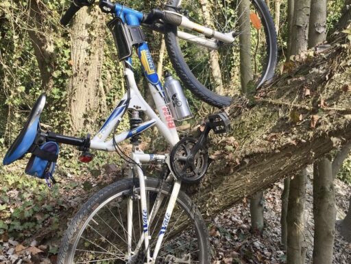 Mtb ROCKRIDER 21 velocità