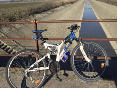 Mtb ROCKRIDER 21 velocità