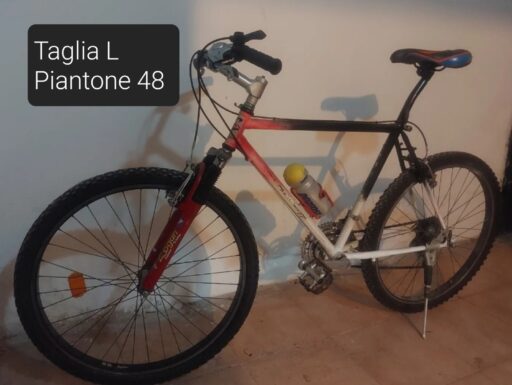 Bici uomo Fausto coppi 26