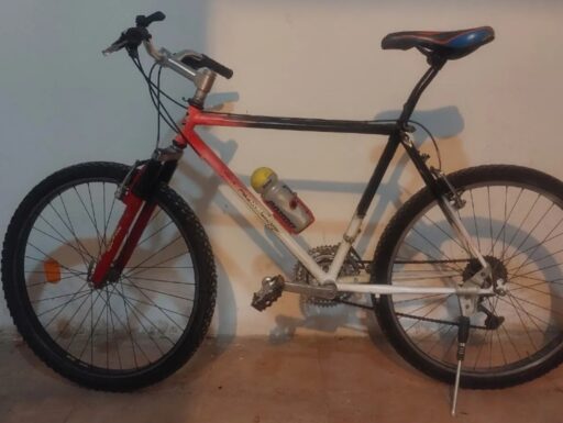 Bici uomo Fausto coppi 26