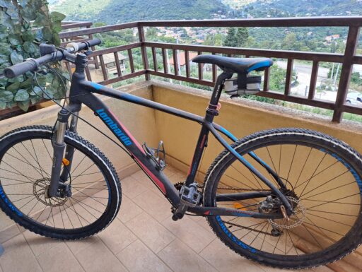 Bicicletta lombardo modello limited edition sestriere