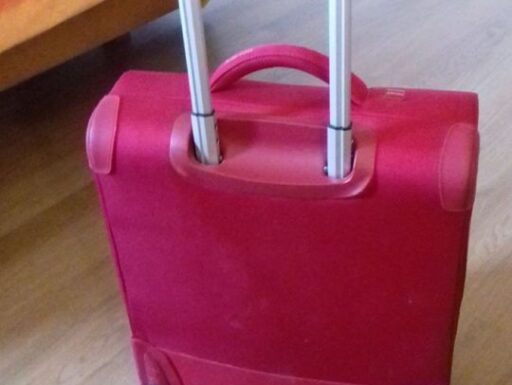Valigia trolley con ruote e manico estraibile