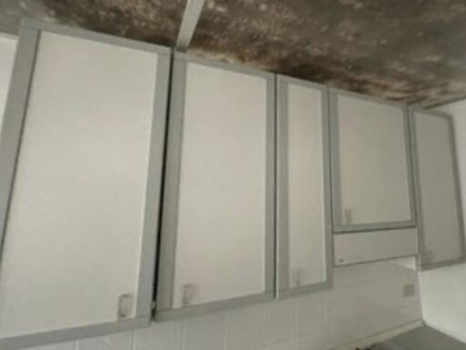 Piano cottura + pensili