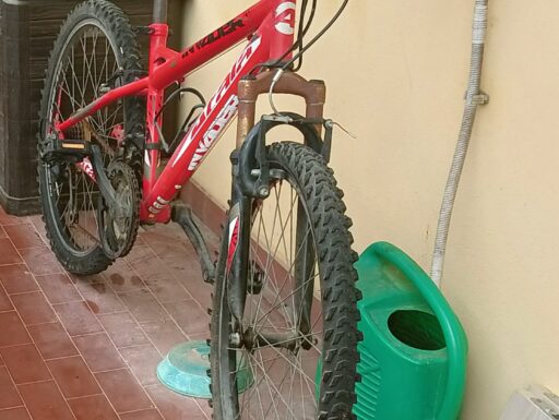 Bici mtb 24