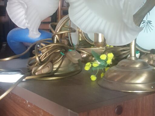 Bazur 15 € l’una