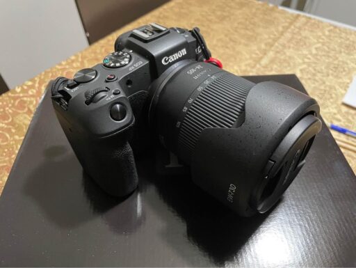 Canon EOS RP + 24-105 f4 a7.1