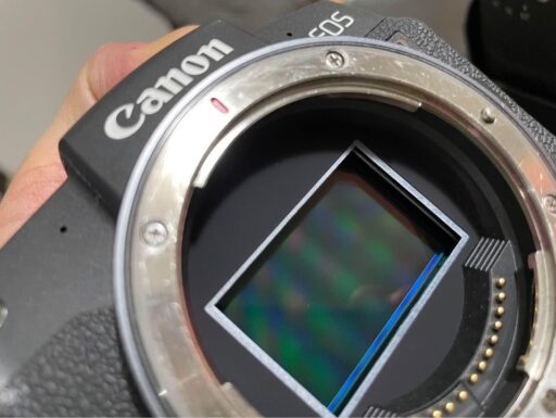 Canon EOS RP + 24-105 f4 a7.1