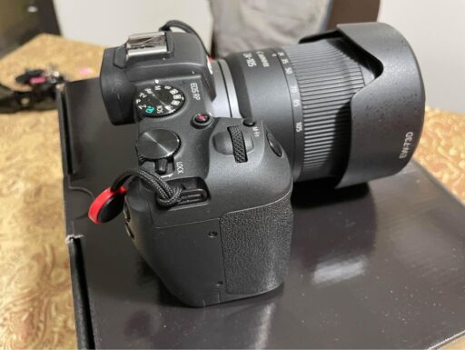 Canon EOS RP + 24-105 f4 a7.1