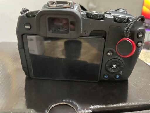 Canon EOS RP + 24-105 f4 a7.1