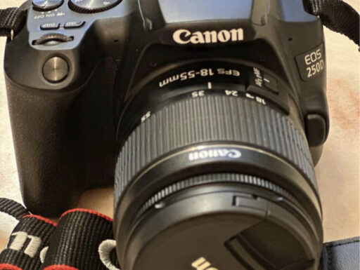 Fotocamera canon EOS 25OD