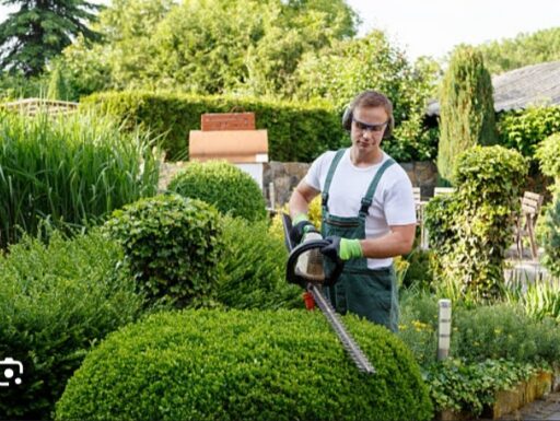 Lavoro come giardiniere, montatore mobili, traslochi