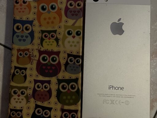 Iphone 5s 16 gb bianco