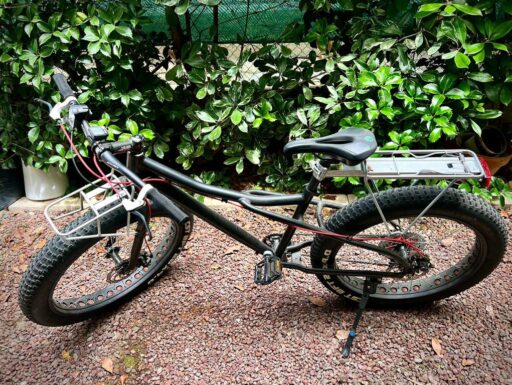 Bicicletta fat bike custom