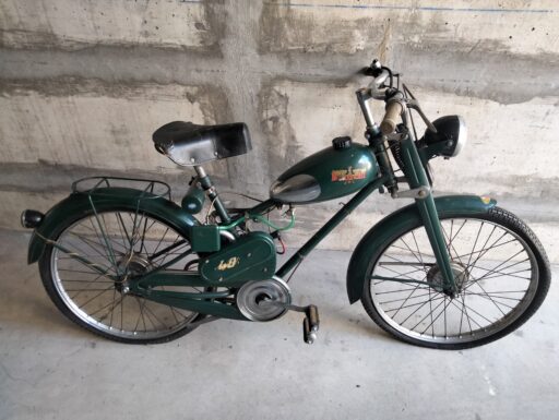 Aquilotto bianchi anno 1960