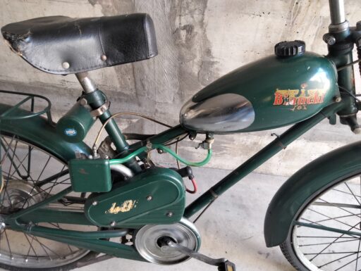 Aquilotto bianchi anno 1960