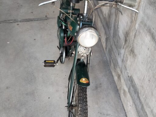 Aquilotto bianchi anno 1960