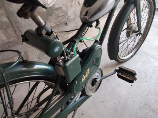 Aquilotto bianchi anno 1960