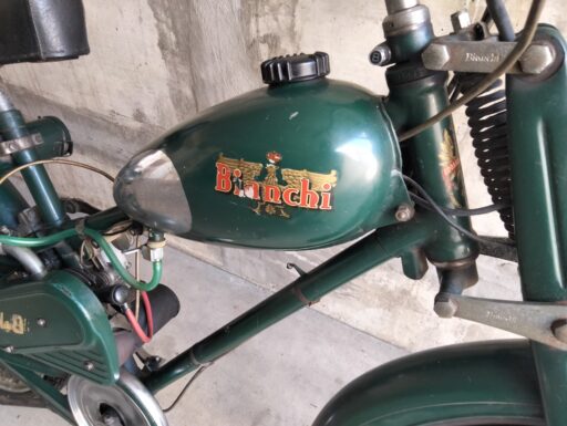 Aquilotto bianchi anno 1960